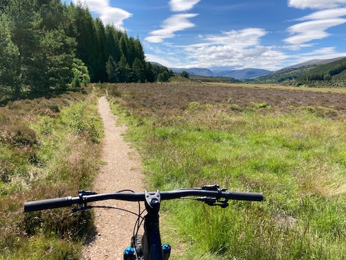 Glen Feshie